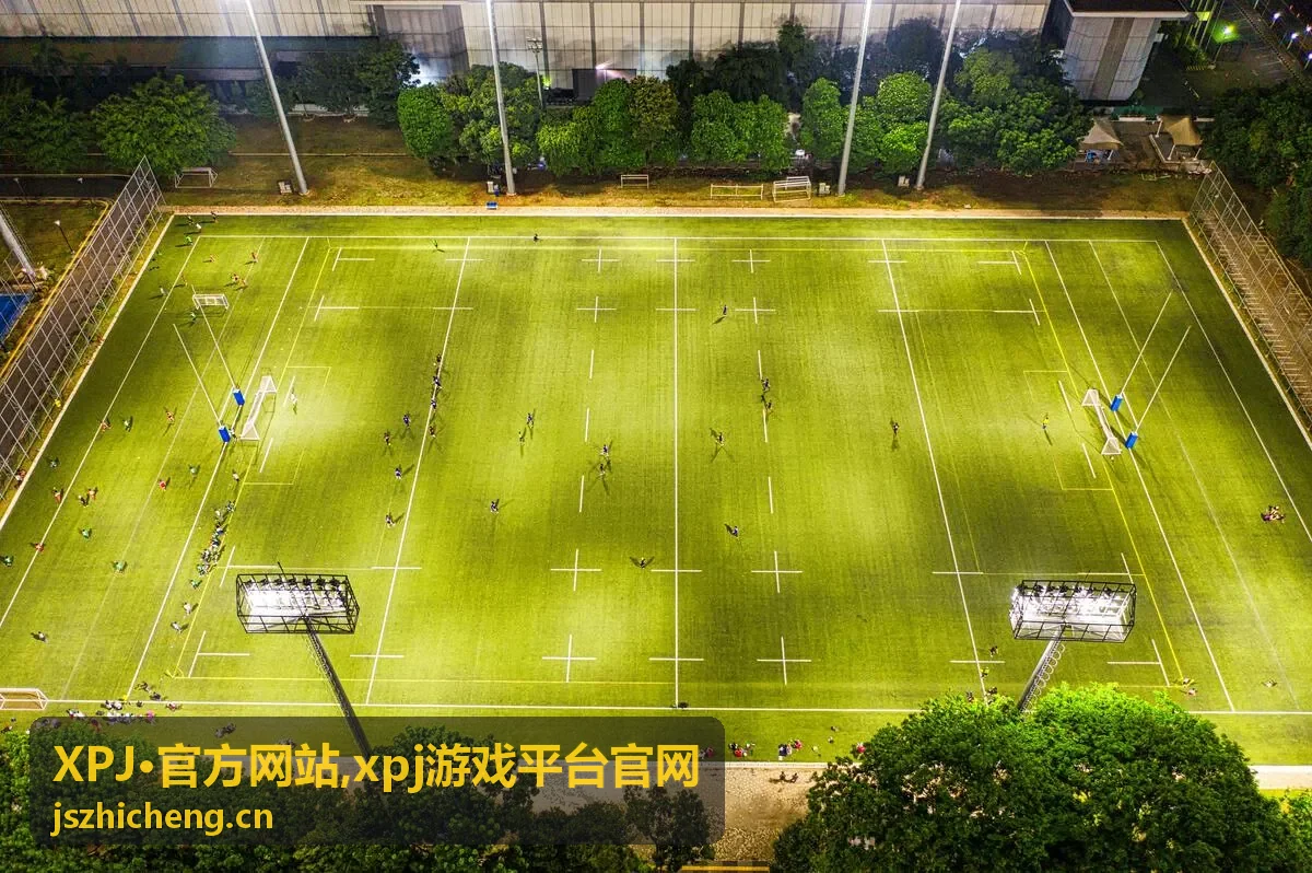 XPJ·官方网站入口说明封面